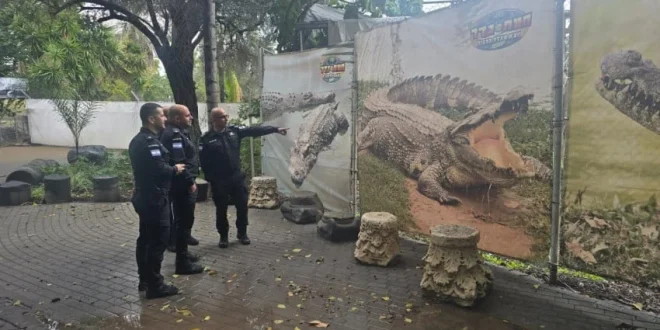 Israel Berencana Gunakan Buaya untuk Jaga Tahanan Palestina, Langkah Baru dalam Keamanan Penjara
