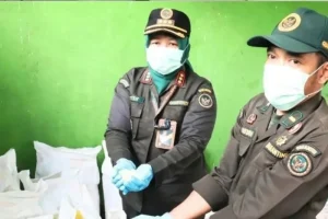 Karantina Bengkulu Kawal Ekspor Kolang-Kaling Ke Vietnam: Upaya Mencegah Penyebaran Penyakit