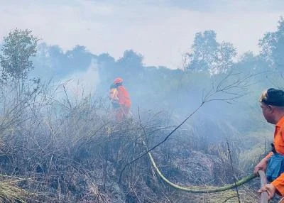 Karhutla di Kalimantan: Puluhan Hektare Lahan Hangus, Satu Warga Pingsan