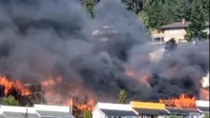 Kebakaran Hebat di Lereng Bukit Norwegia: Lebih dari 100 Rumah Terbakar