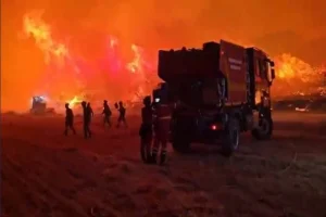 Kebakaran Hutan Besar di Spanyol: 10.000 Orang Mengungsi dan Darurat Nasional Dikecualikan