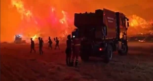 Kebakaran Hutan Besar di Spanyol: 10.000 Orang Mengungsi dan Darurat Nasional Dikecualikan