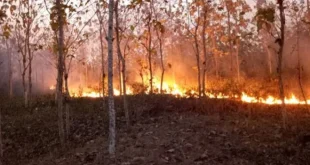 Kebakaran Hutan yang Mengerikan di Prancis, Membuat 220 Ribu Orang Mengungsi