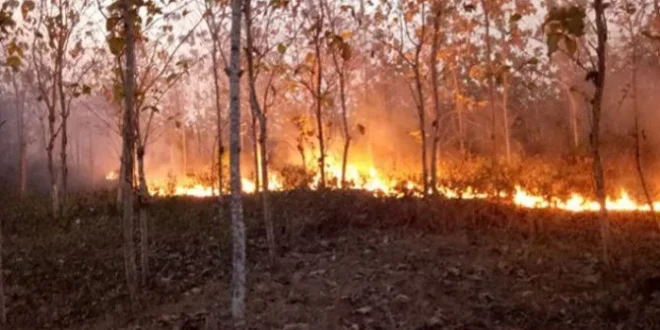 Kebakaran Hutan yang Mengerikan di Prancis, Membuat 220 Ribu Orang Mengungsi