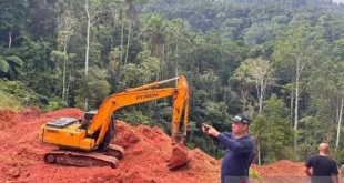 Kemenhut Berhasil Hentikan Tambang Emas Ilegal di Kawasan Hutan Sulawesi Utara