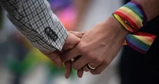 Komisi VIII Terbuka Terima Usulan RUU Pidana LGBT: Apa yang Terjadi?