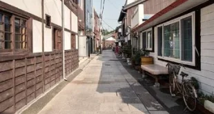 Korsel Dilanda Gelombang Panas Ekstrem Dua Kota Ini Siaga Tinggi: Cuaca Ekstrem di Korea Selatan