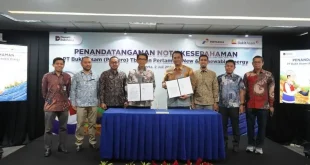 Lahan Bekas Tambang Bisa Dimanfaatkan jadi Lokasi PLTS Kejar Target 100 GW, Masa Depan Energi Terbarukan