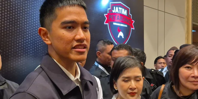 Langkah Perbaikan PMMP Terkait Utang ke Bank Emiten Terafiliasi Kaesang Pangarep