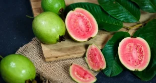 Manfaat Jambu Biji Merah untuk Kesehatan, Bukan Sekadar Buah Segar Ini 6 Manfaat Jambu Biji Merah untuk Kesehatan