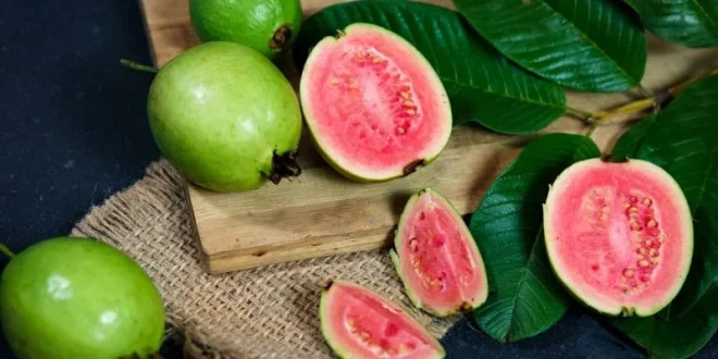 Manfaat Jambu Biji Merah untuk Kesehatan, Bukan Sekadar Buah Segar Ini 6 Manfaat Jambu Biji Merah untuk Kesehatan