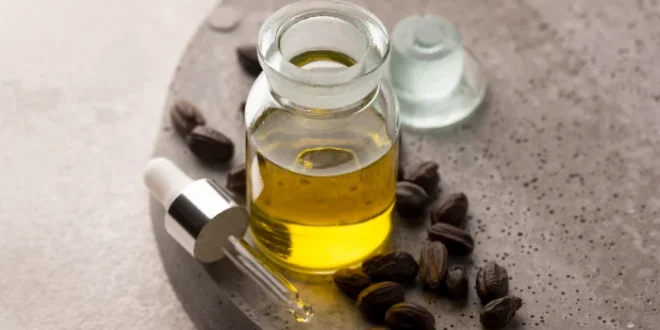 Manfaat Jojoba Oil untuk Kulit: Lebih dari Sekedar Minyak Biasa