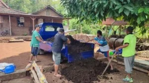 Masyarakat Gunungkidul Temukan Cuan Baru dari Limbah Peternakan