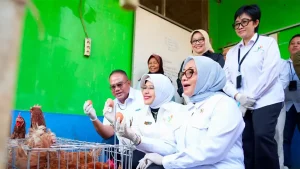 Menteri PPPA dan Kepala BPS Apresiasi Pemberdayaan PNM untuk Usaha Ekonomi Sirkular