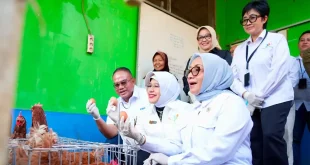 Menteri PPPA dan Kepala BPS Apresiasi Pemberdayaan PNM untuk Usaha Ekonomi Sirkular