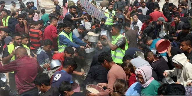 MER-C Indonesia Terapkan Sistem Digital di Klinik Gaza untuk Meningkatkan Pelayanan Kesehatan
