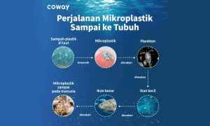 Mikroplastik Mengancam Ikan Saat Musim Kawin: Studi Mengungkap Risiko