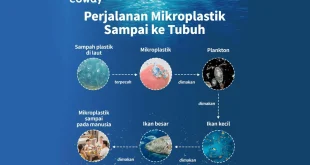 Mikroplastik Mengancam Ikan Saat Musim Kawin: Studi Mengungkap Risiko