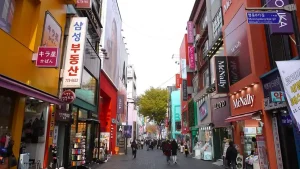 Misteri Hilangnya Warga Asal Madiun di Korea Selatan: Sarjana Backpacker Berbicara
