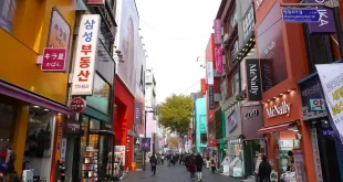 Misteri Hilangnya Warga Asal Madiun di Korea Selatan: Sarjana Backpacker Berbicara
