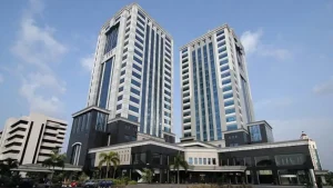 Panda Bond Perdana Indonesia Diserbu Investor Tiongkok, Laris Manis!