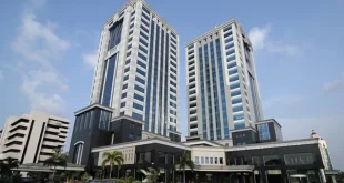 Panda Bond Perdana Indonesia Diserbu Investor Tiongkok, Laris Manis!