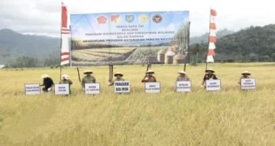 Pangdam Merdeka: Ketahanan Pangan Tanggung Jawab Bersama, Bukan Hanya Petani