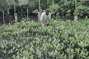 Pemerintah Dorong UMKM Masuk Rantai Pasok Pariwisata Bintan untuk Meningkatkan Ekonomi Lokal