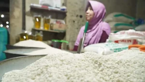 Pemerintah Pastikan Beras Premium Tidak Langka, Masyarakat Tenang dengan Program Intervensi