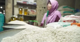 Pemerintah Pastikan Beras Premium Tidak Langka, Masyarakat Tenang dengan Program Intervensi