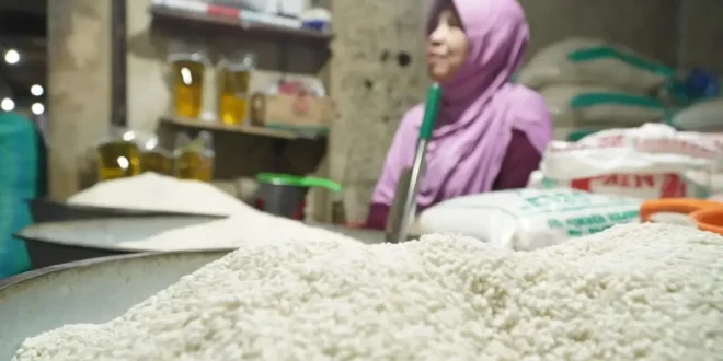 Pemerintah Pastikan Beras Premium Tidak Langka, Masyarakat Tenang dengan Program Intervensi
