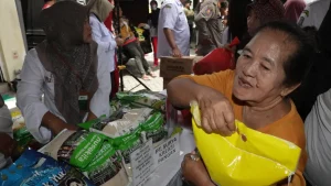 Pemerintah Pastikan Cadangan Beras dan Pangan Strategis Lain Siap Antisipasi Kemarau