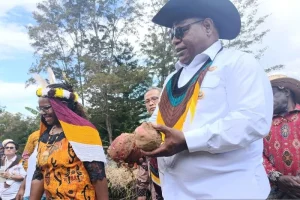 Pemkab Jayawijaya Pacu Budi Daya Komoditas Lokal Demi Ketahanan Pangan di Papua