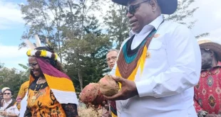 Pemkab Jayawijaya Pacu Budi Daya Komoditas Lokal Demi Ketahanan Pangan di Papua