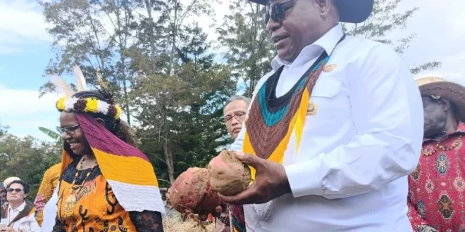 Pemkab Jayawijaya Pacu Budi Daya Komoditas Lokal Demi Ketahanan Pangan di Papua