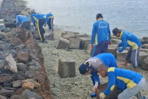 Pemkab Kepulauan Seribu Perbaiki Tanggul Roboh di Pulau Sabira, Mencegah Bencana Lainnya