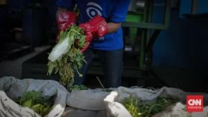 Pemprov DKI Siapkan Lahan di Legok Banten untuk Membangun Ekosistem Sampah Organik