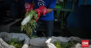 Pemprov DKI Siapkan Lahan di Legok Banten untuk Membangun Ekosistem Sampah Organik