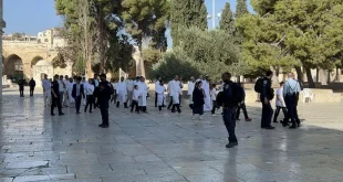 Pemukim Israel Gelar Ritual Talmud di Al Aqsa, Apa Dampaknya?