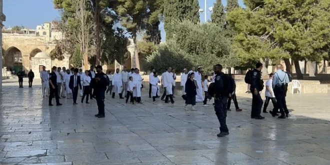 Pemukim Israel Gelar Ritual Talmud di Al Aqsa, Apa Dampaknya?