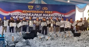 Penyelundupan Ganja Masih Meningkat: 12 Orang Ditangkap di Gresik
