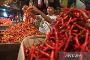 PIHPS: Harga Cabai Rawit dan Telur Ayam Melonjak, Apa Saja Faktor Penyebabnya?