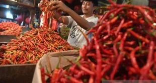 PIHPS: Harga Cabai Rawit dan Telur Ayam Melonjak, Apa Saja Faktor Penyebabnya?