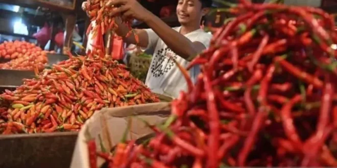 PIHPS: Harga Cabai Rawit dan Telur Ayam Melonjak, Apa Saja Faktor Penyebabnya?