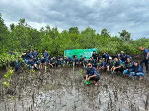 PNM Green Impact Tanam 22.000 Mangrove di 18 Kawasan Pesisir untuk Melestarikan Lingkungan