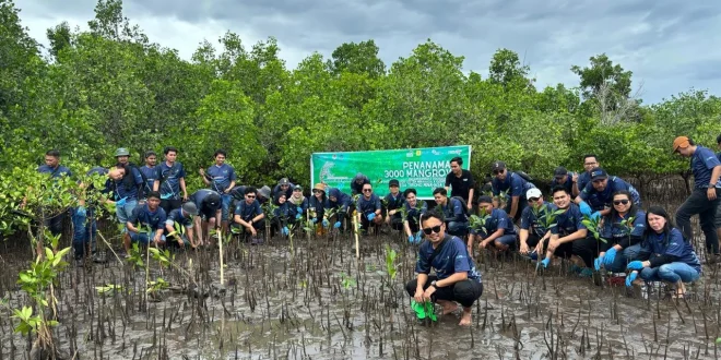 PNM Green Impact Tanam 22.000 Mangrove di 18 Kawasan Pesisir untuk Melestarikan Lingkungan