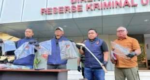 Polda Sulut Gerebek Rumah Produksi Senjata Tajam Ilegal di Minahasa Utara: Tindakan yang Harus Dihubungkan