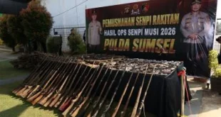 Polda Sumsel Berhasil Musnahkan 397 Senpi Rakitan Ilegal, 31 Pelaku Ditangkap
