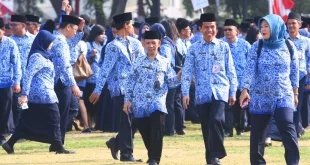 PPPK Paruh Waktu Ditempatkan di Ormas, Faisol: Kebijakan Macam Apa itu yang Perlu Dibongkar!