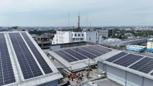 PTBA Optimalkan 250 Hektare Lahan Pascatambang untuk Energi Terbarukan